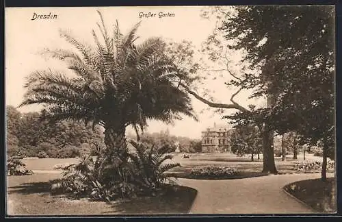 AK Dresden, Königlicher Grosser Garten