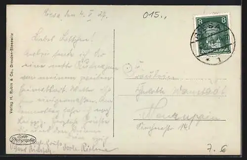 AK Riesa a. d. Elbe, Teilansicht mit Elbe aus der Vogelschau