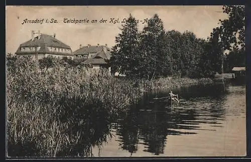 AK Arnsdorf i. Sa., Teichpartie an der Kgl. Landes-Anstalt