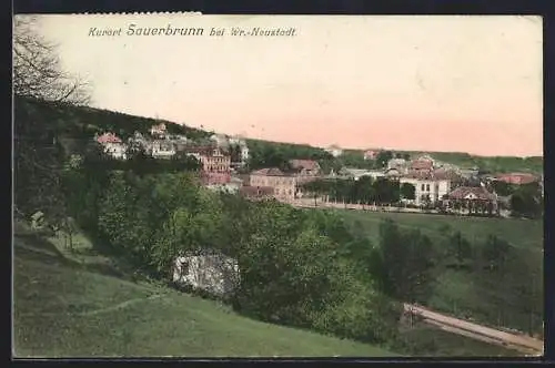 AK Sauerbrunn bei Wr.-Neustadt, Teilansicht mit Strassenpartie