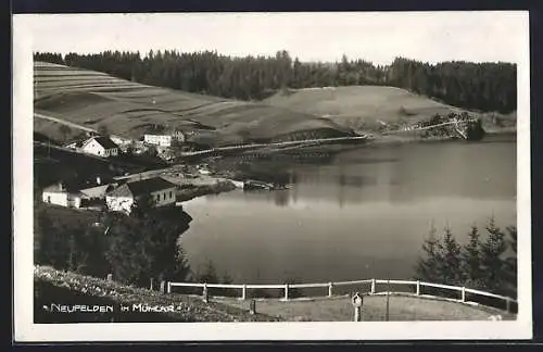 AK Neufelden im Mühlkr., Panorama