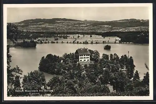 AK Sursee /Luzern, Schloss Mauensee mit Umgebung aus der Vogelschau