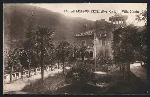 AK Arles-sur-Tech, Villa Monin entourée de palmiers et de montagnes