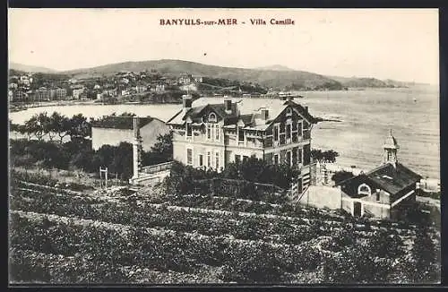 AK Banyuls-sur-Mer, Villa Camille avec vue sur la mer et les collines environnantes