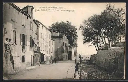 AK Collioure, Le Boulevard avec maisons et arbres