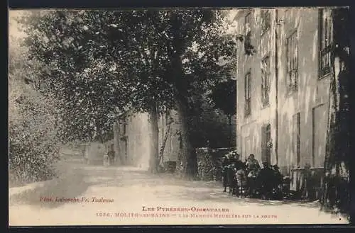 AK Molitg-les-Bains, Les maisons meublées sur la route