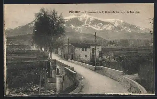 AK Prades, Promenade de la Route de Catllar et le Canigou