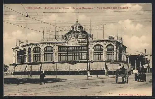 AK Perpignan, Entrée de la Ville, Grand Magasin Aux Dames de France