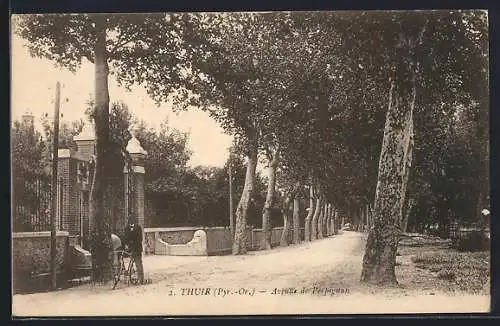 AK Thuir, Avenue de Perpignan avec arbres et clôtures élégantes