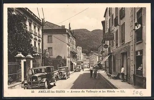 AK Amélie-les-Bains, Avenue du Vallespir et les Hôtels