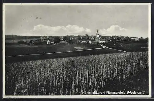 AK Flammersfeld /Westerwald, Teilansicht mit Kirche