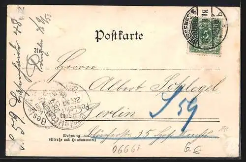 AK Weissenfels a. S., Marktplatz mit Geschäften