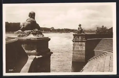 AK Dresden-Pillnitz, Schloss, Treppe zur Elbe