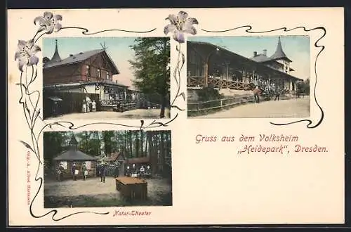 AK Dresden-Neustadt, das Volksheim Heidepark, Natur-Theater