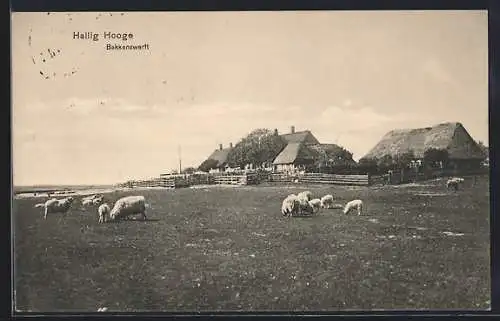 AK Hallig Hooge, Bakkenswerft