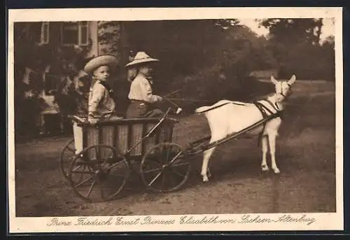 AK Prinz Friedrich Ernst und Prinzess Elisabeth von Sachsen-Altenburg in einem Ziegengespann