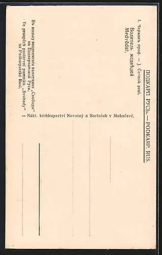 Künstler-AK Tanzbär mit seinem Besitzer