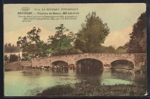 AK Resteigne /Namur, Vue du Pont jeté sur la Lesse date de 1842