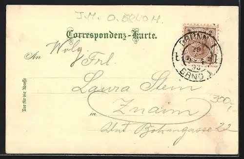 Lithographie Brünn, Deutsches Haus, Deutsches Theater, Panorama