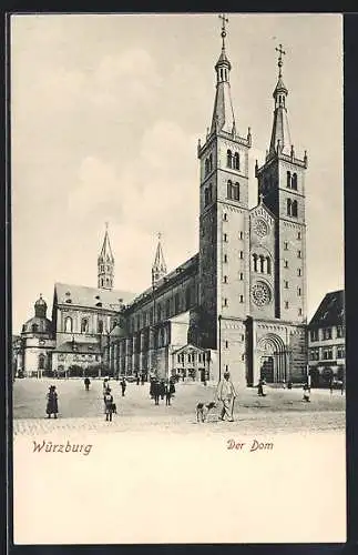 AK Würzburg, Dom mit Strassenpartie