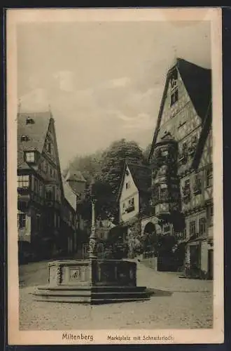 AK Miltenberg, Marktplatz mit Schnatterloch