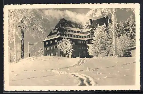 AK Altenberg /Erzgeb., Sanatorium Raupennest der Sozialversicherung Altenberg