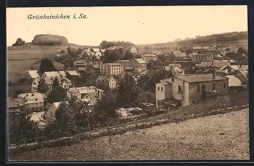 AK Grünhainichen i. Sa., Panoramablick vom Berg