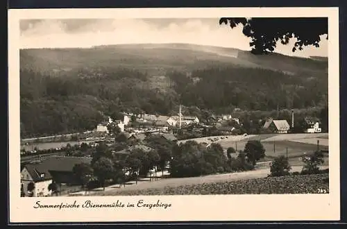 AK Bienenmühle im Erzgebirge, Teilansicht vom Hang aus