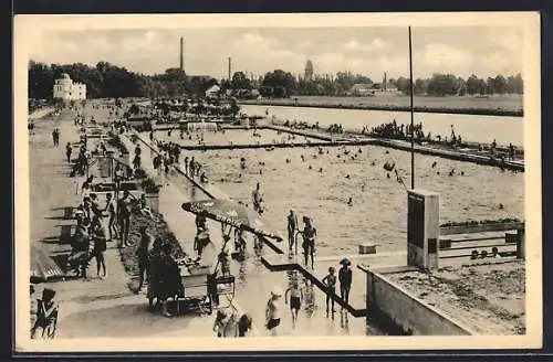 AK Budweis / Ceske Budejovice, Plovarna, Schwimmbad mit Badegästen