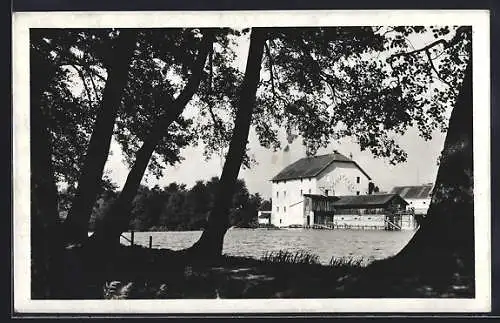 AK Planá nad Luz, Panorama