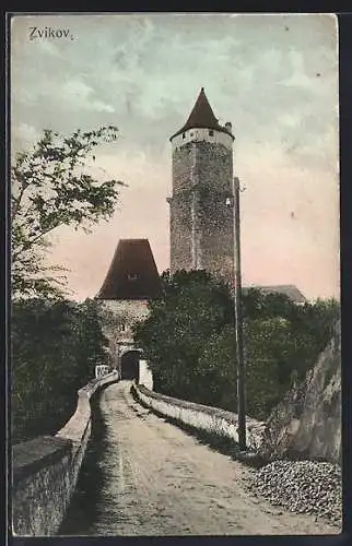 AK Zvikov, Celkový pohled na hrad