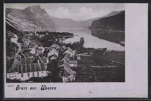 AK Weesen, Teilansicht mit See und Bergen aus der Vogelschau