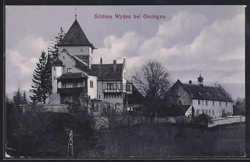 AK Ossingen, Schloss Wyden, Panorama