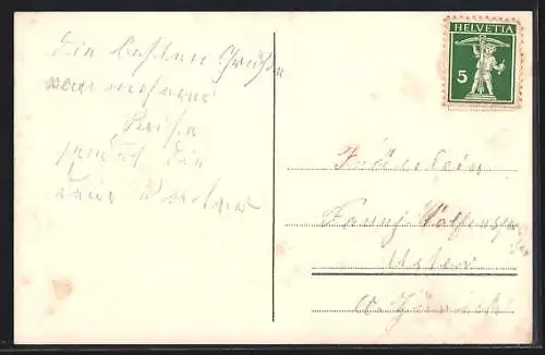 AK Lichtensteig, Ortspanorama