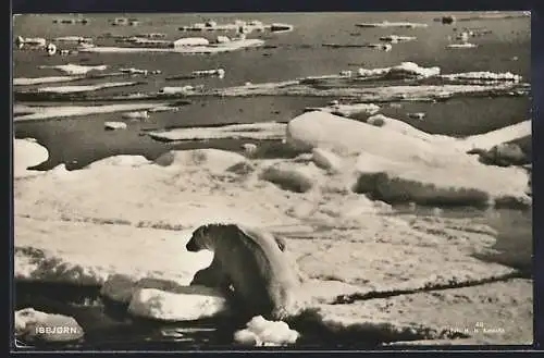 AK Ein Eisbär klettert auf eine Eisscholle