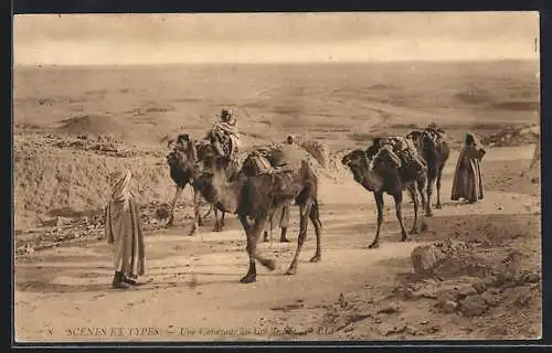 AK Biskra, Passage du Col de Sfa, Kamel