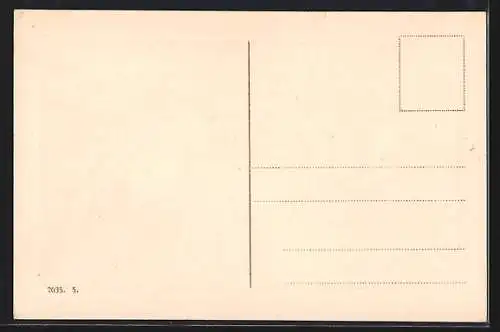 AK Münsterländer, Portrait von der Seite