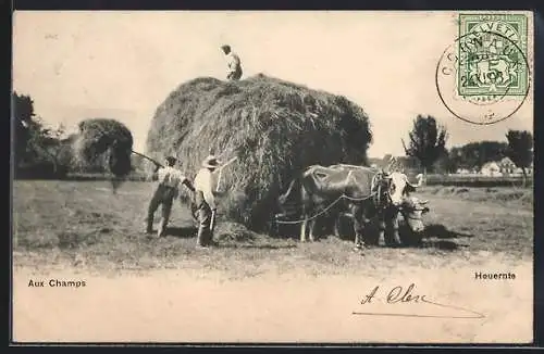 AK Heuernte auf einem Feld mit Ochsen-Gespann