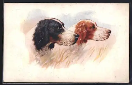 AK Zwei Jagdhunde von der Seite, Portrait