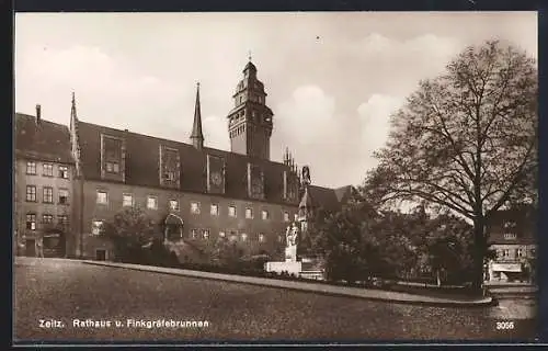 AK Zeitz, Rathaus und Finkgräfebrunnen