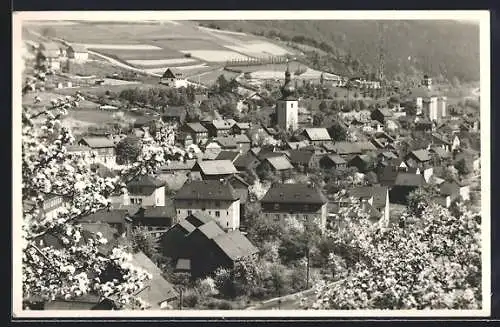 AK Probstzella /Thürw., Ortsansicht aus der Vogelschau