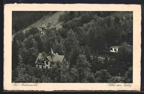 AK Bad Finkenmühle, Blick vom Fichtig