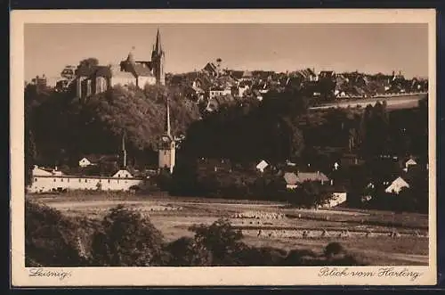 AK Leisnig, Blick vom Harling mit Kirche