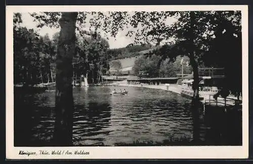 AK Königsee /Thür. Wald, Am Waldsee