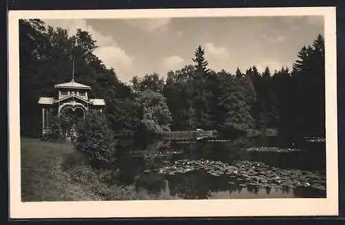 AK Ebersdorf /Thür., Am Pfotenteich im Park