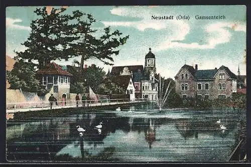 AK Neustadt /Orla, Gamsenteich