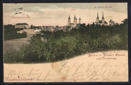 AK Naumburg / Saale, Ortsansicht mit Dom und St. Moritz-Kirche