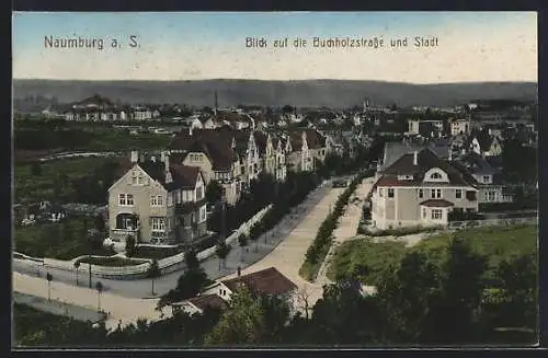 AK Naumburg a. S., Blick auf die Buchholzstrasse und den Ort