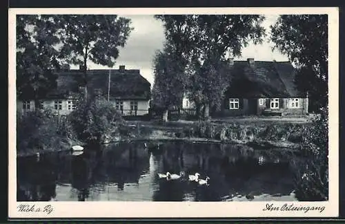 AK Wiek / Rügen, am Ortsteich