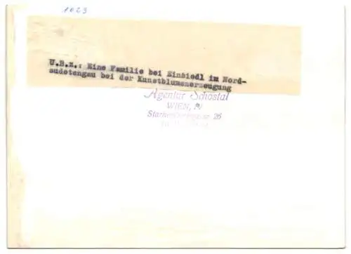 16 Fotografien Wilhelm Sturm, Ansicht Rumburg, Heimarbeit Weber mit Webstuhl & Spinnrad, Kunstblumenerzeugung u.a.